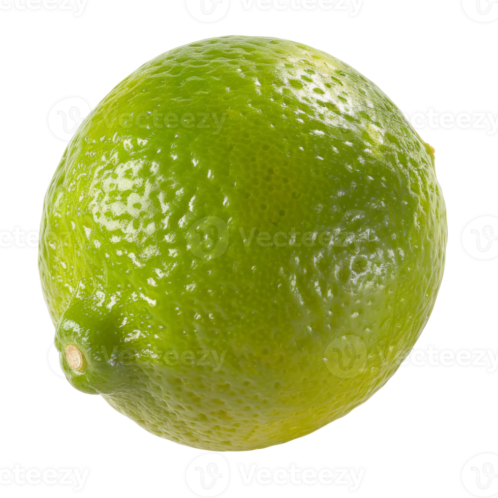 Lime, fruit realistic Illustration. Realistic Transparent file. Mockup template for artwork graphic design png