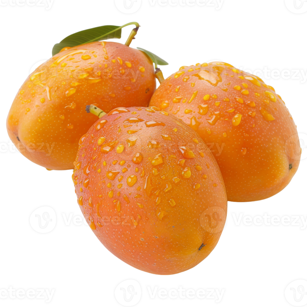 Mango, fruit realistic Illustration. Realistic Transparent file. Mockup template for artwork graphic design png