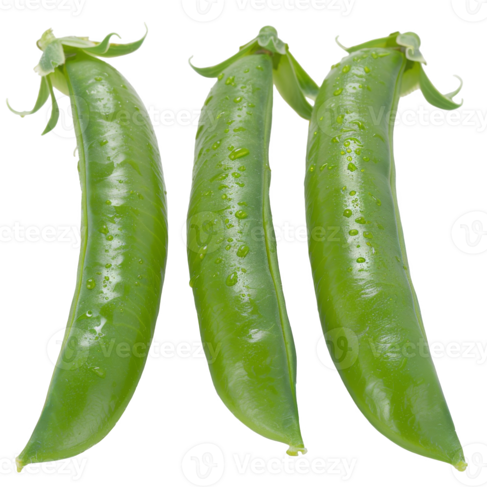 Pea Pods, fruit realistic Illustration. Realistic Transparent file. Mockup template for artwork graphic design png