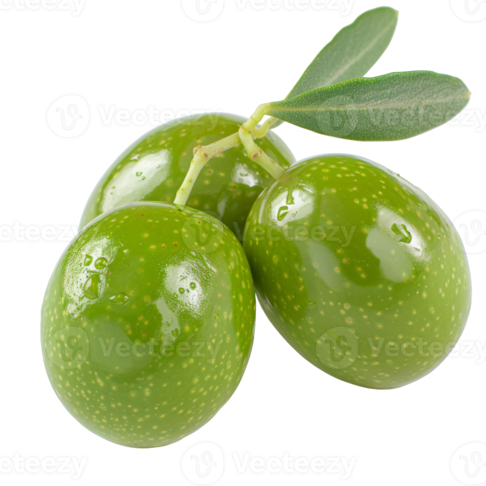 Olive, fruit realistic Illustration. Realistic Transparent file. Mockup template for artwork graphic design png