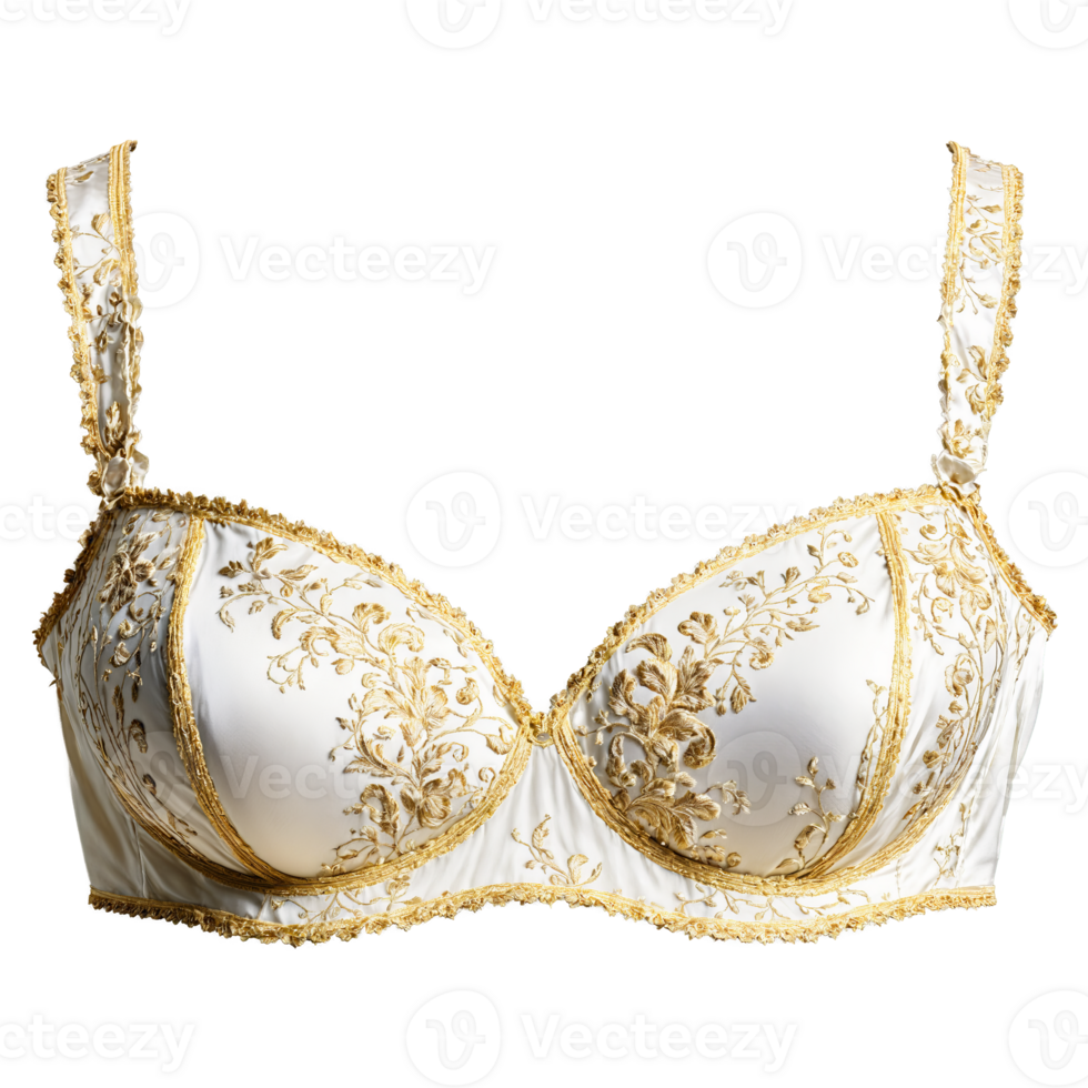Romantic Baroque scroll embroidered bra gilded lavishly antique gold thread Marie Antoinette png
