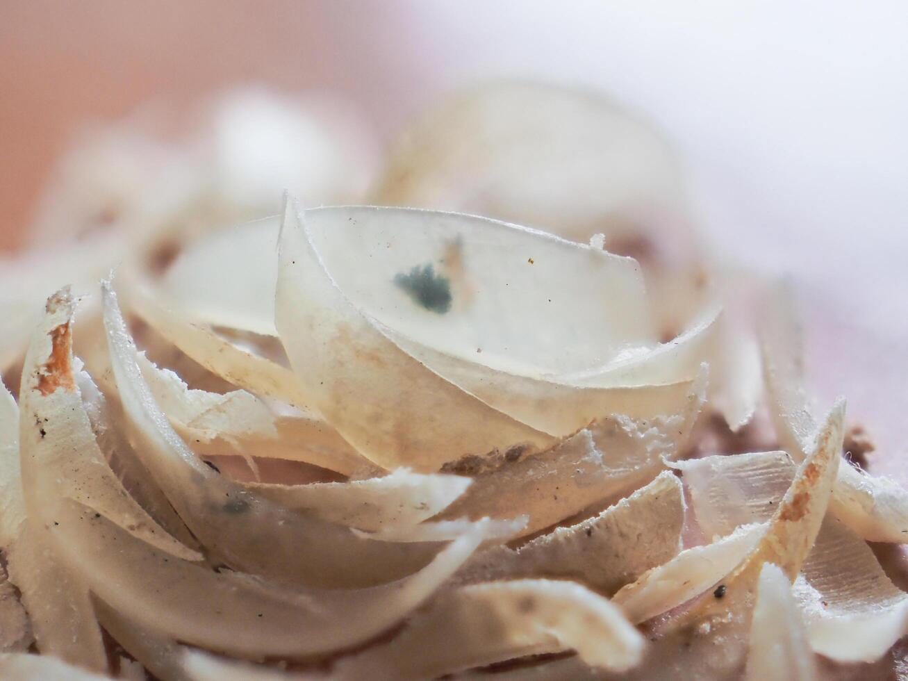Clipped fingernails and toenails piled up in clumps. photo