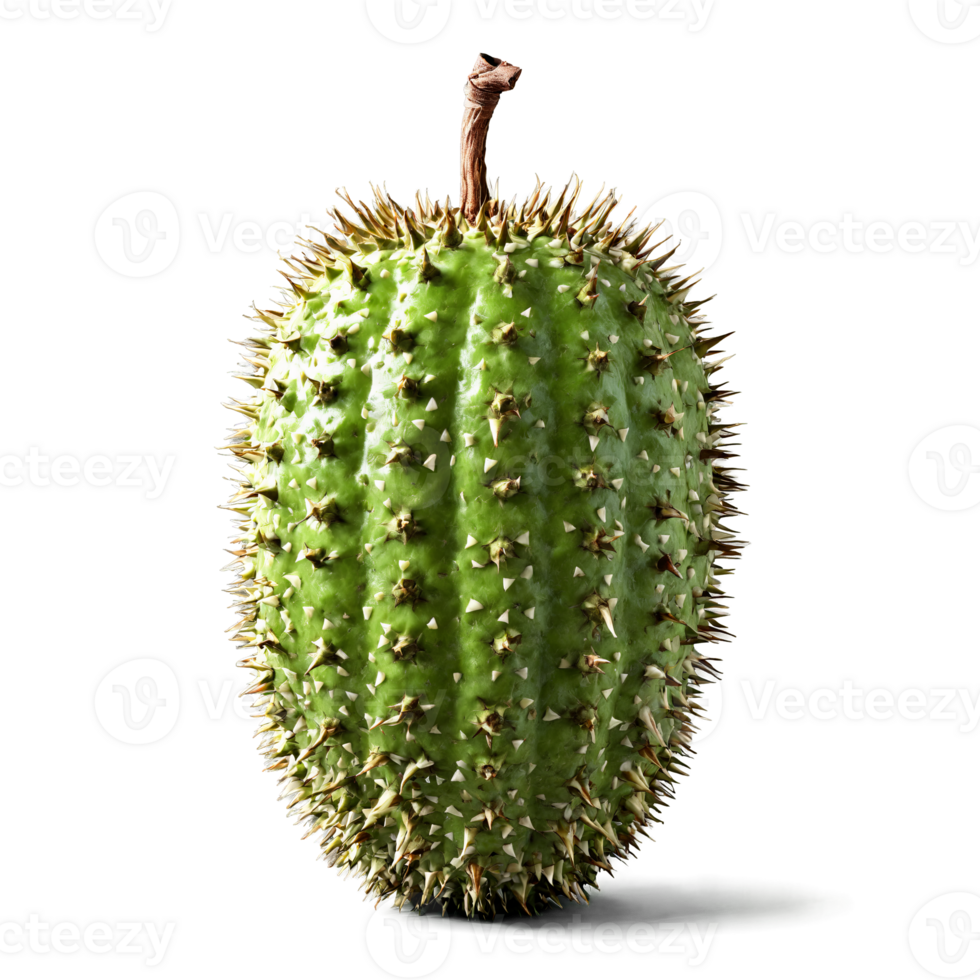 Soursop with spiky green skin and white fibrous flesh scooped out Food and culinary concept png