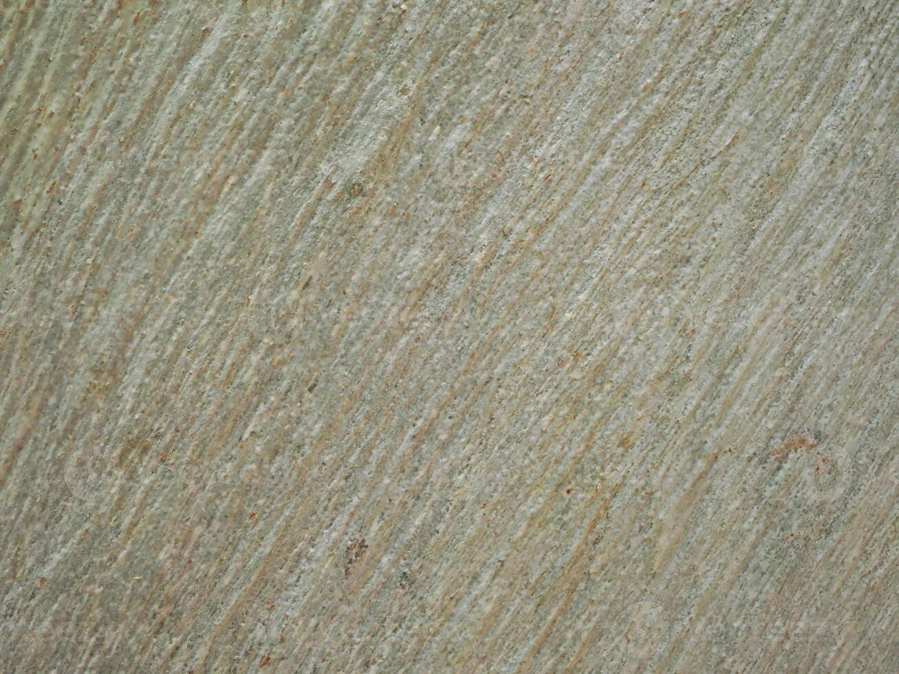 Fresh bark has a natural pattern. photo