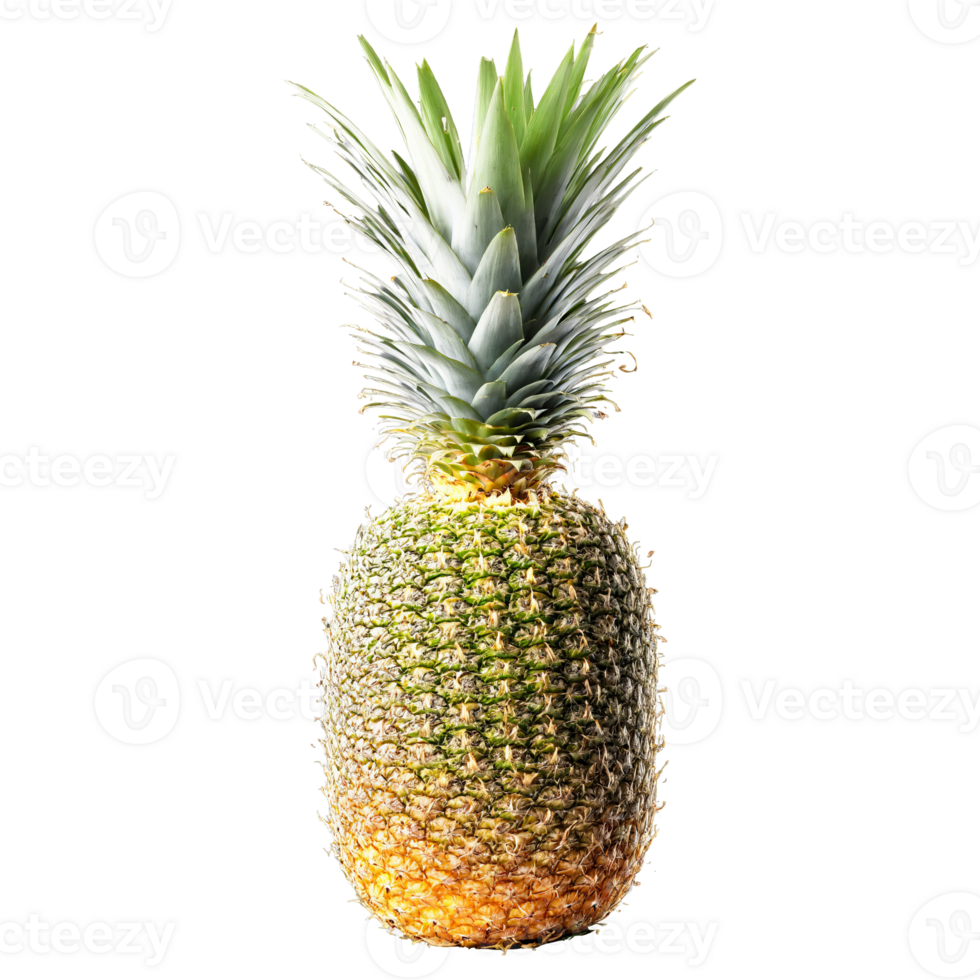 Pineapple with sliced rings and leaves exploding upwards Food and culinary concept png
