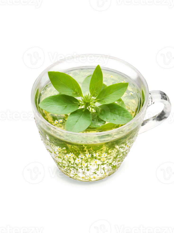 Chickweed tea clear glass cup dainty leaves and flowers light green cooling png
