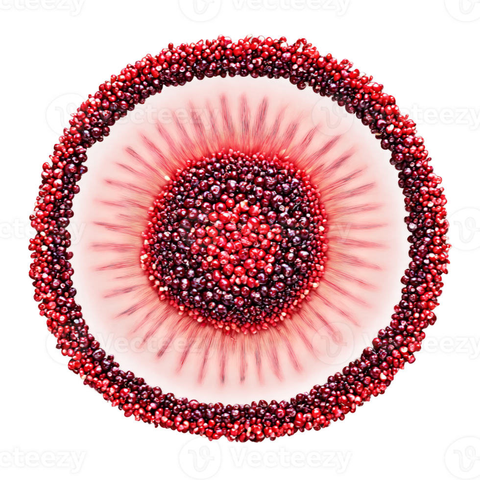 Dried Lingonberry Mandala vibrant red dried lingonberries arranged in a mesmerizing circular pattern berries elegantly png