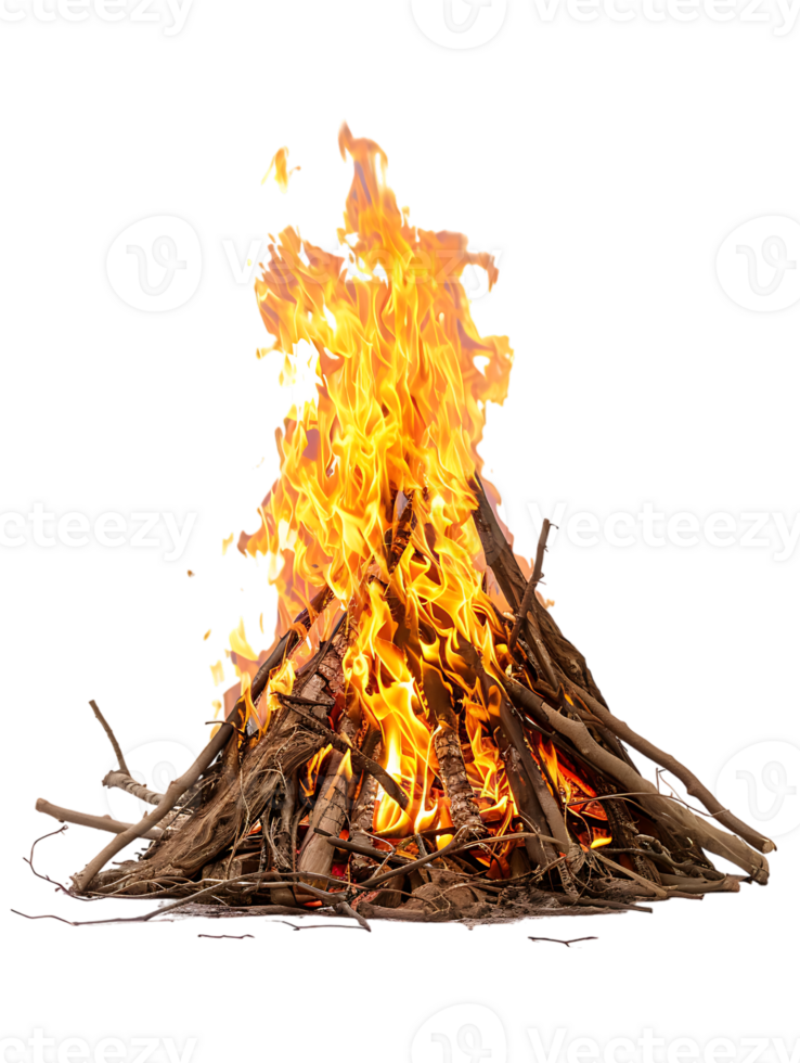 bonfire isolated against a transparent background png