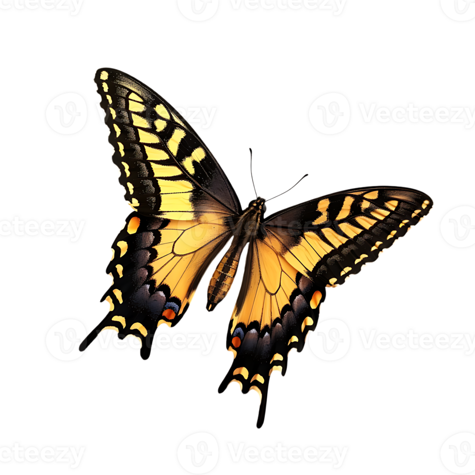Butterfly in flight isolated against a transparent background png
