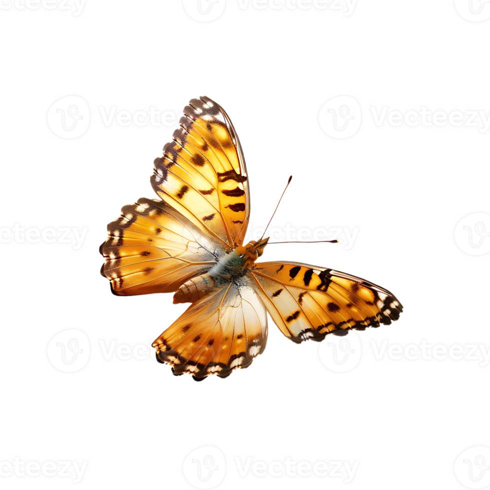Butterfly in flight isolated against a transparent background png