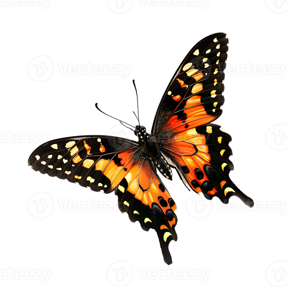 Butterfly in flight isolated against a transparent background png