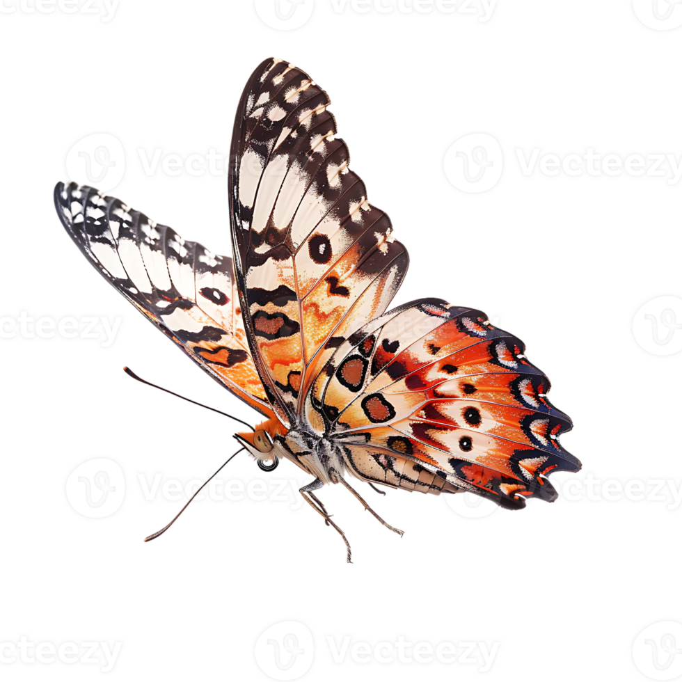 Butterfly in flight isolated against a transparent background png