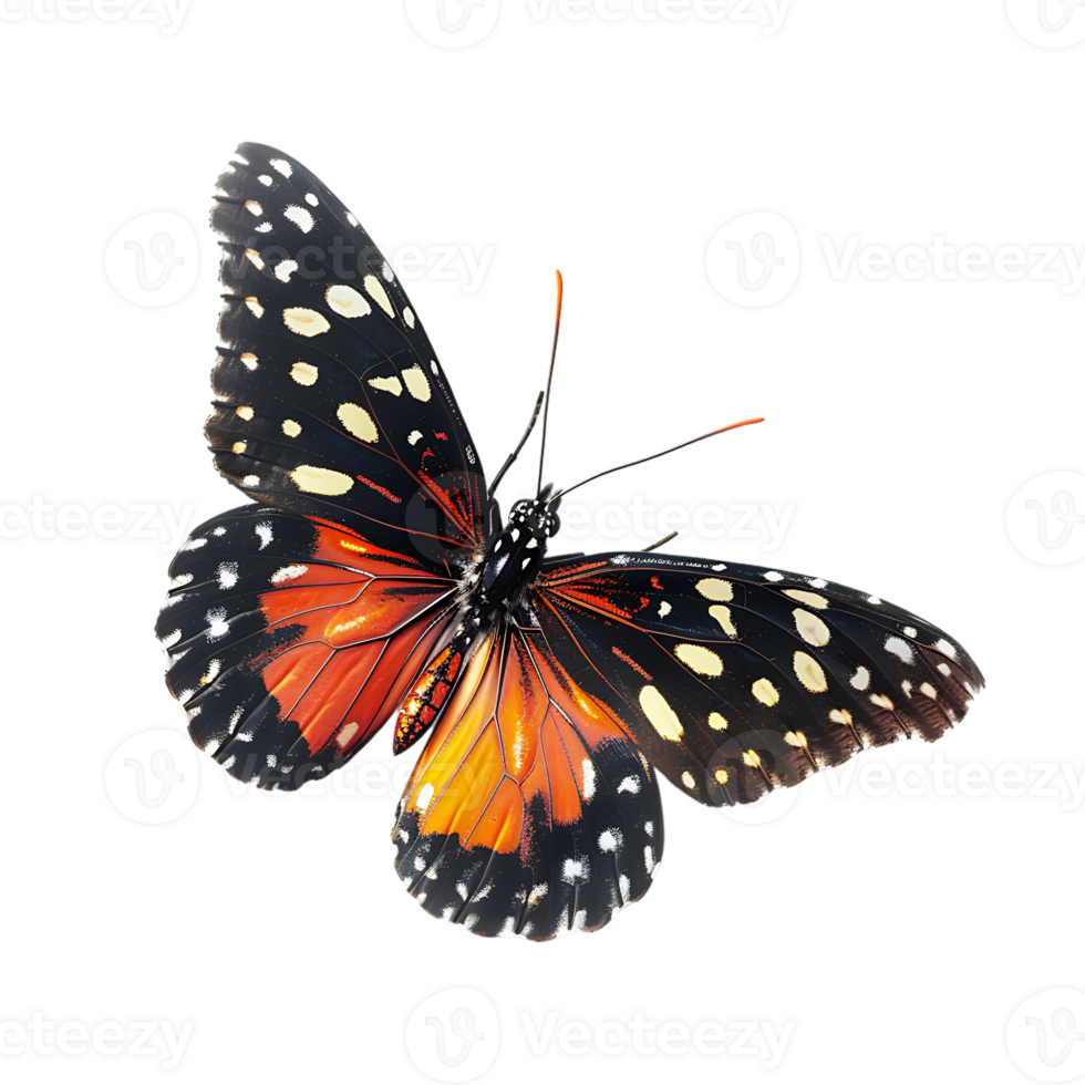 Butterfly in flight isolated against a transparent background png