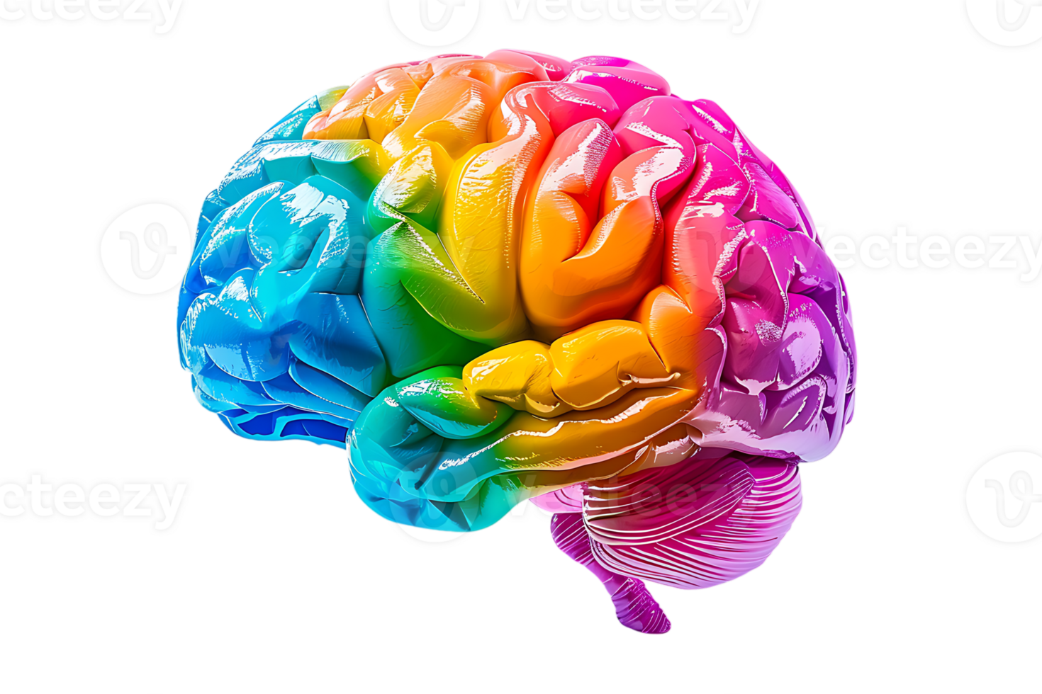 3D style colorful brain, isolated against a transparent background png