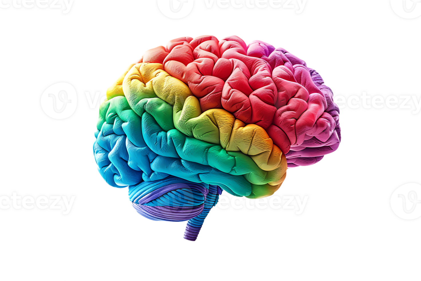3D style colorful brain, isolated against a transparent background png