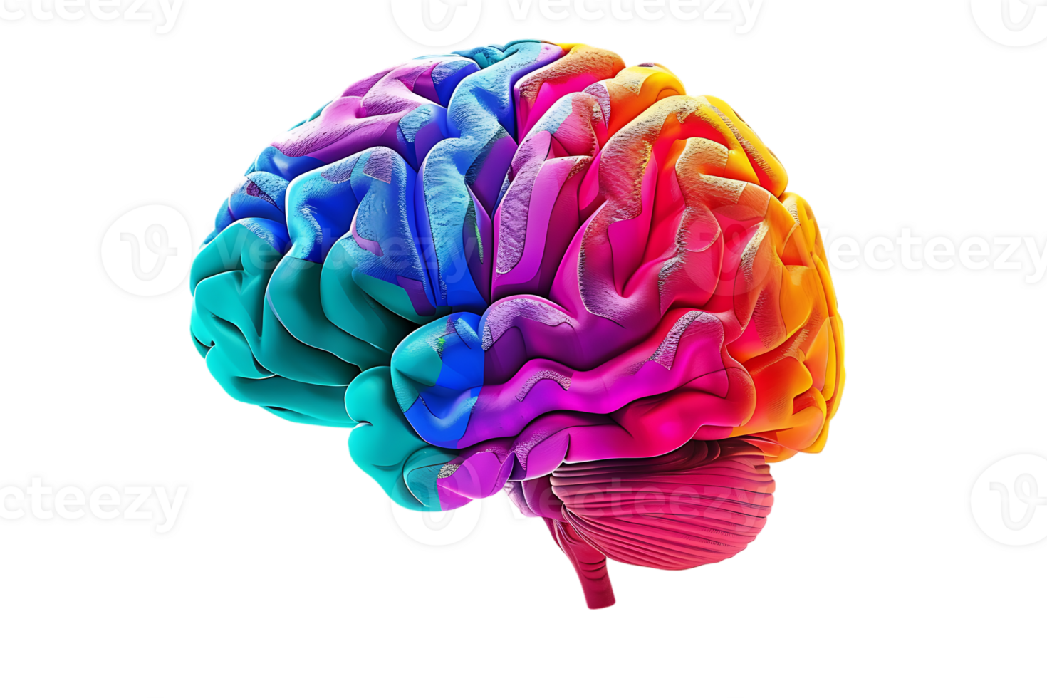 3D style colorful brain, isolated against a transparent background png