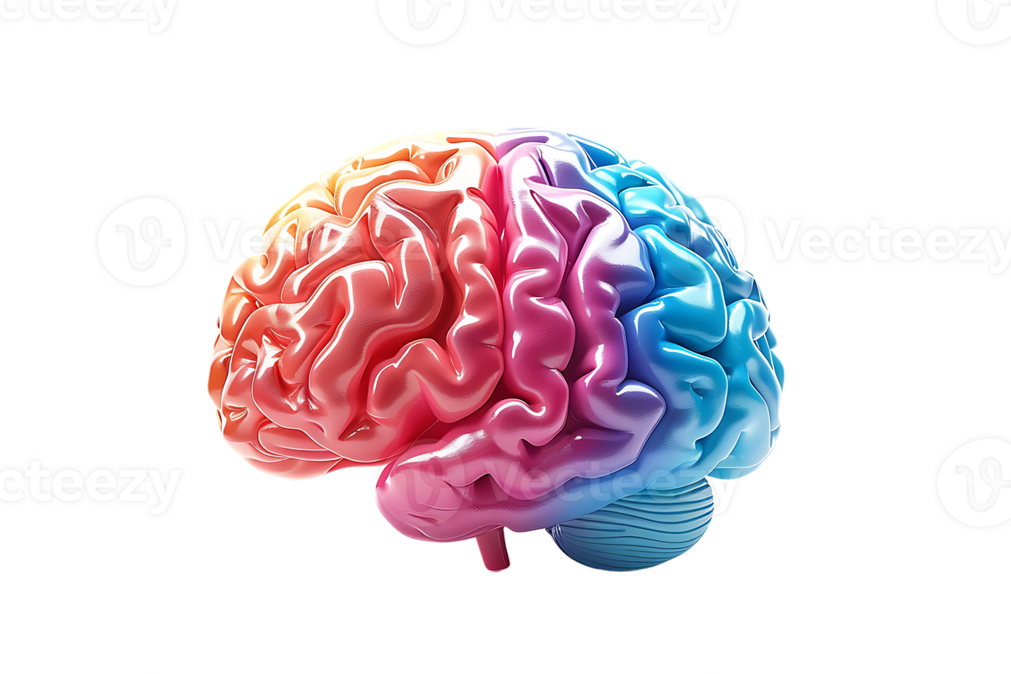 3D style colorful brain, isolated against a transparent background png