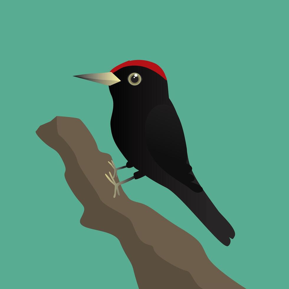 A digital illustration of a pileated woodpecker on a tree trunk with a green background vector