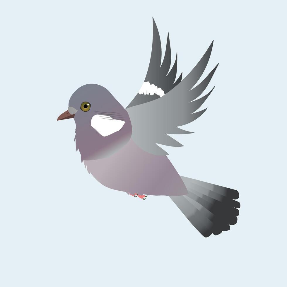 Flying Common wood pigeon illustration on a light blue background vector