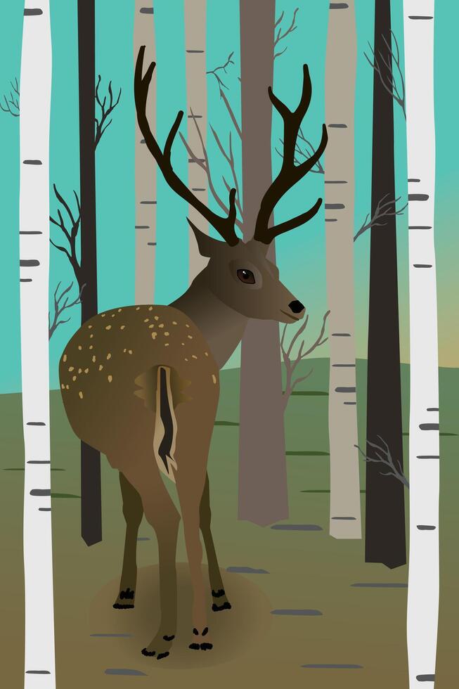 A digital illustration of a deer in the forest. You see the animal from its behind and it looks backwards at you. It's a male deer with antlers. He stands in between birch trees. vector