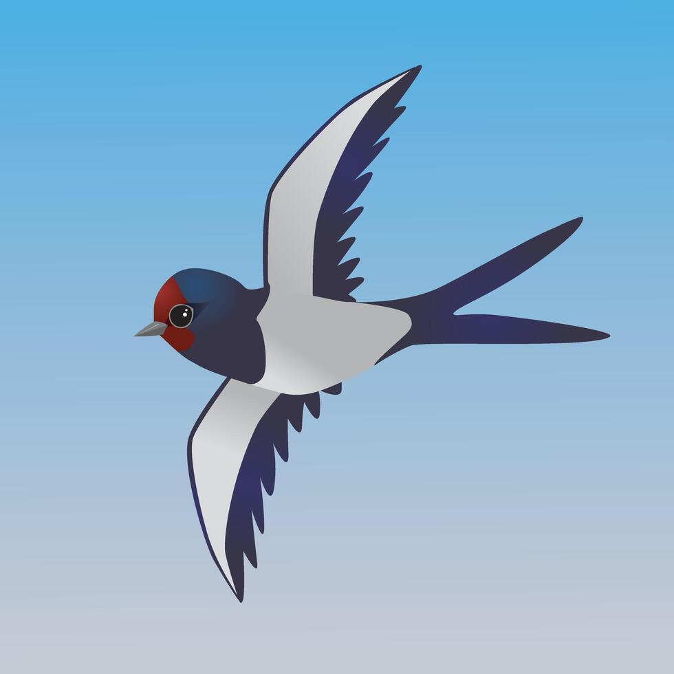 An illustration of a flying cute barn swallow vector