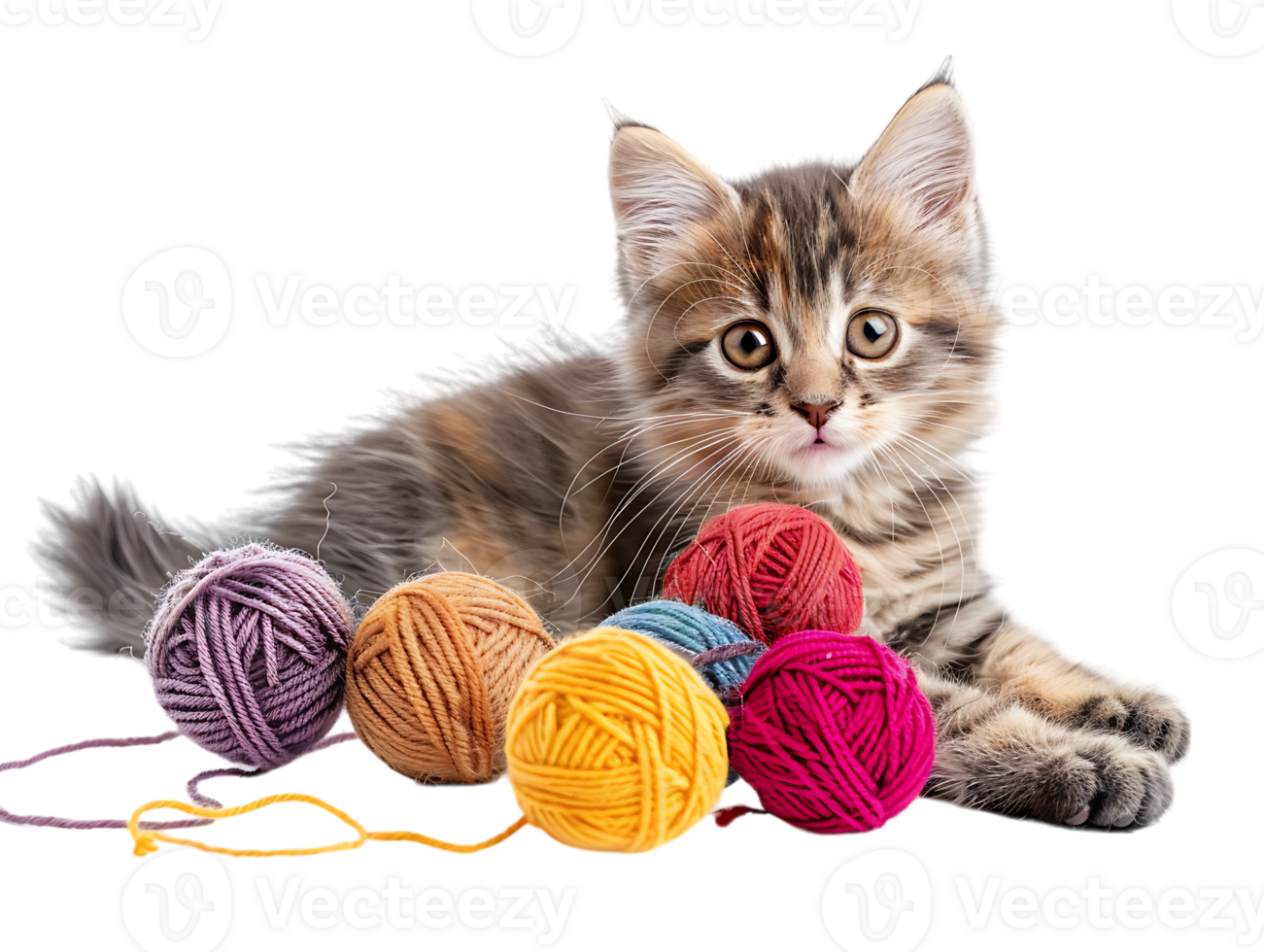 Cute kitten playing with yarn balls, isolated against a transparent background png