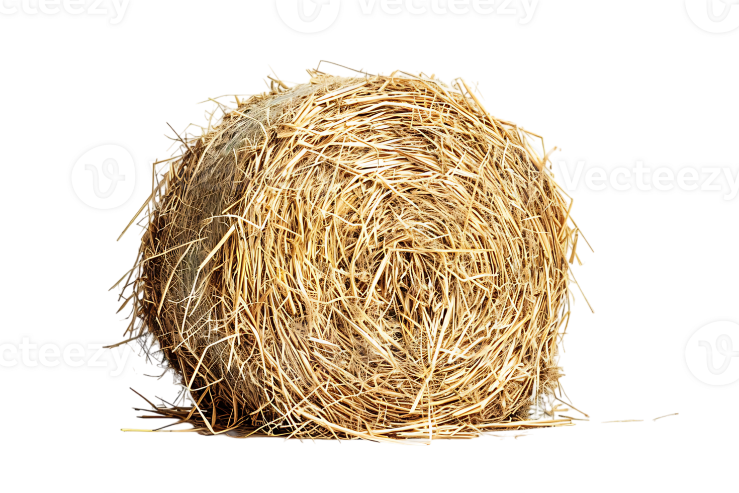 cylindrical or round hay bale isolated png