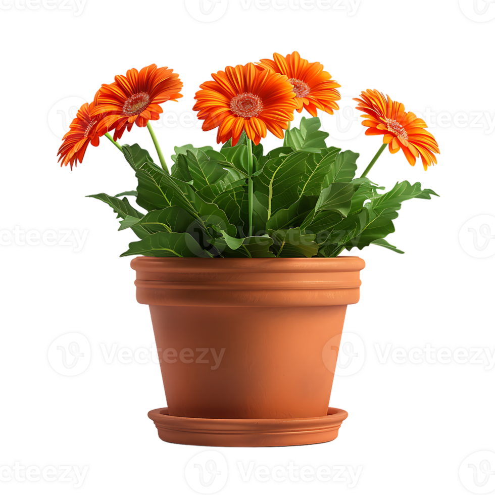 Plant in a pot over transparent background png