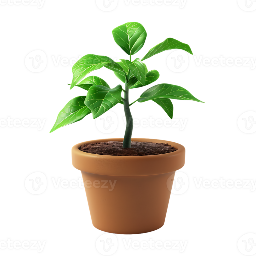 Plant in a pot over transparent background png