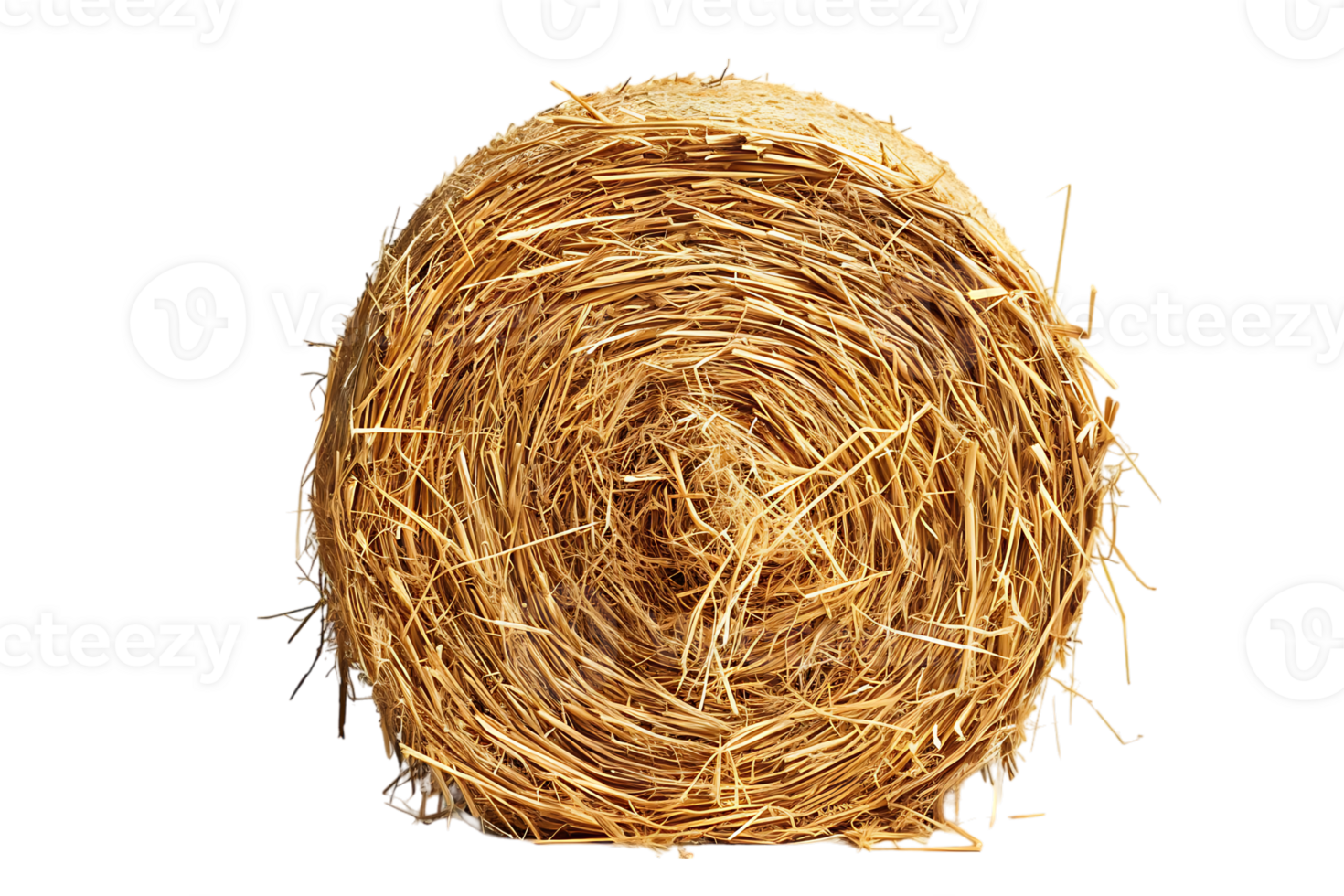 cylindrical or round hay bale isolated png