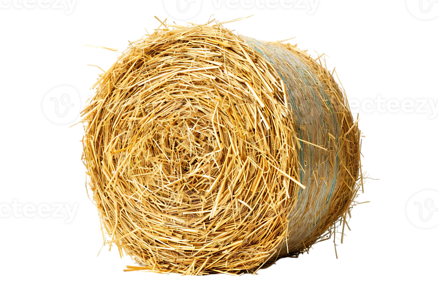 cylindrical or round hay bale isolated png