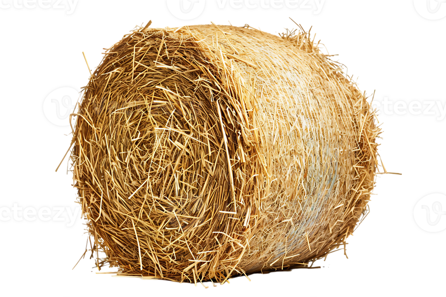 cylindrical or round hay bale isolated png