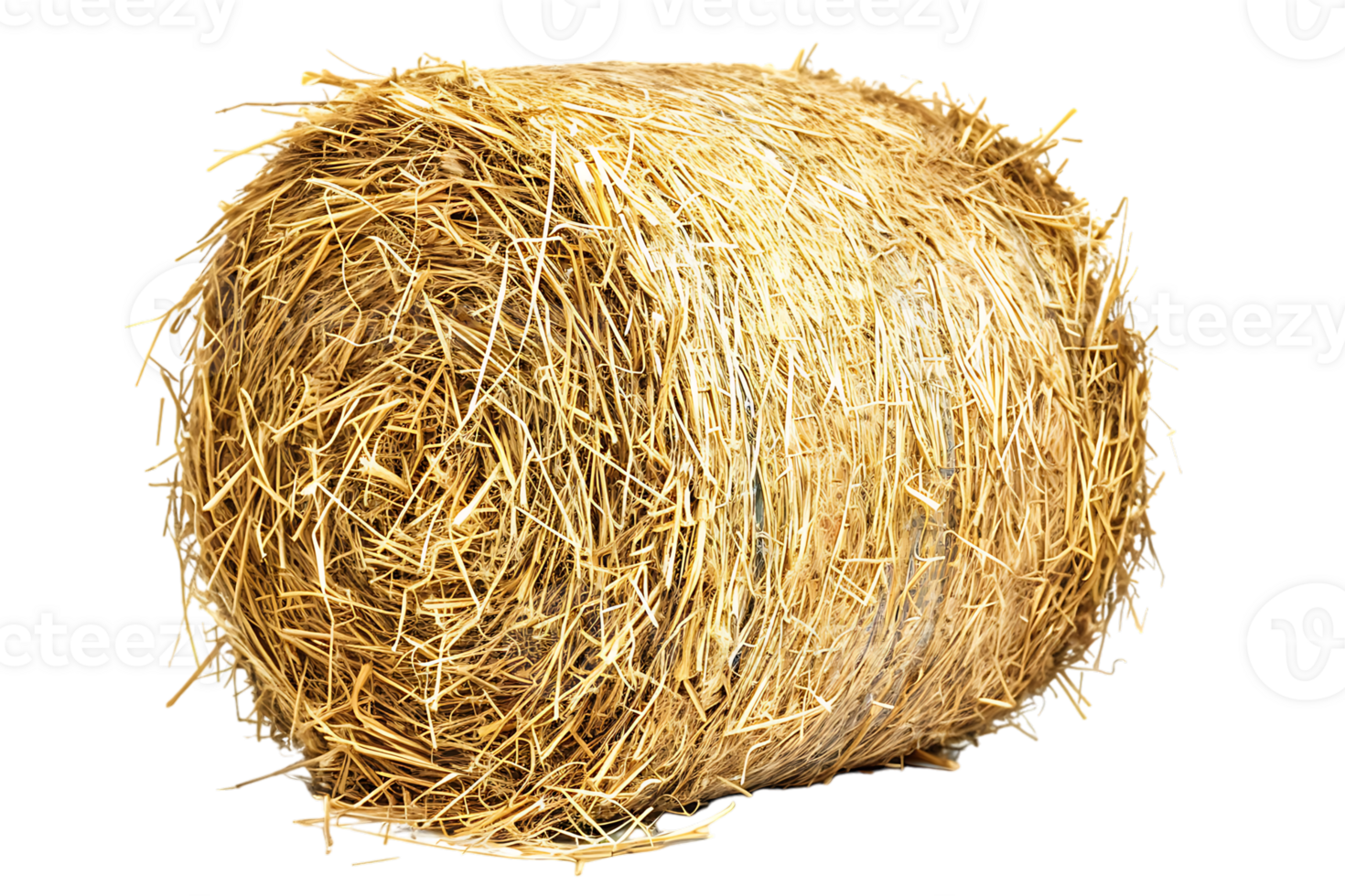 cylindrical or round hay bale isolated png