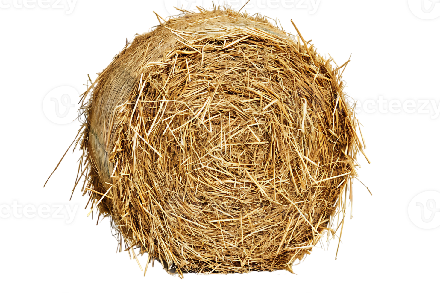 cylindrical or round hay bale isolated png
