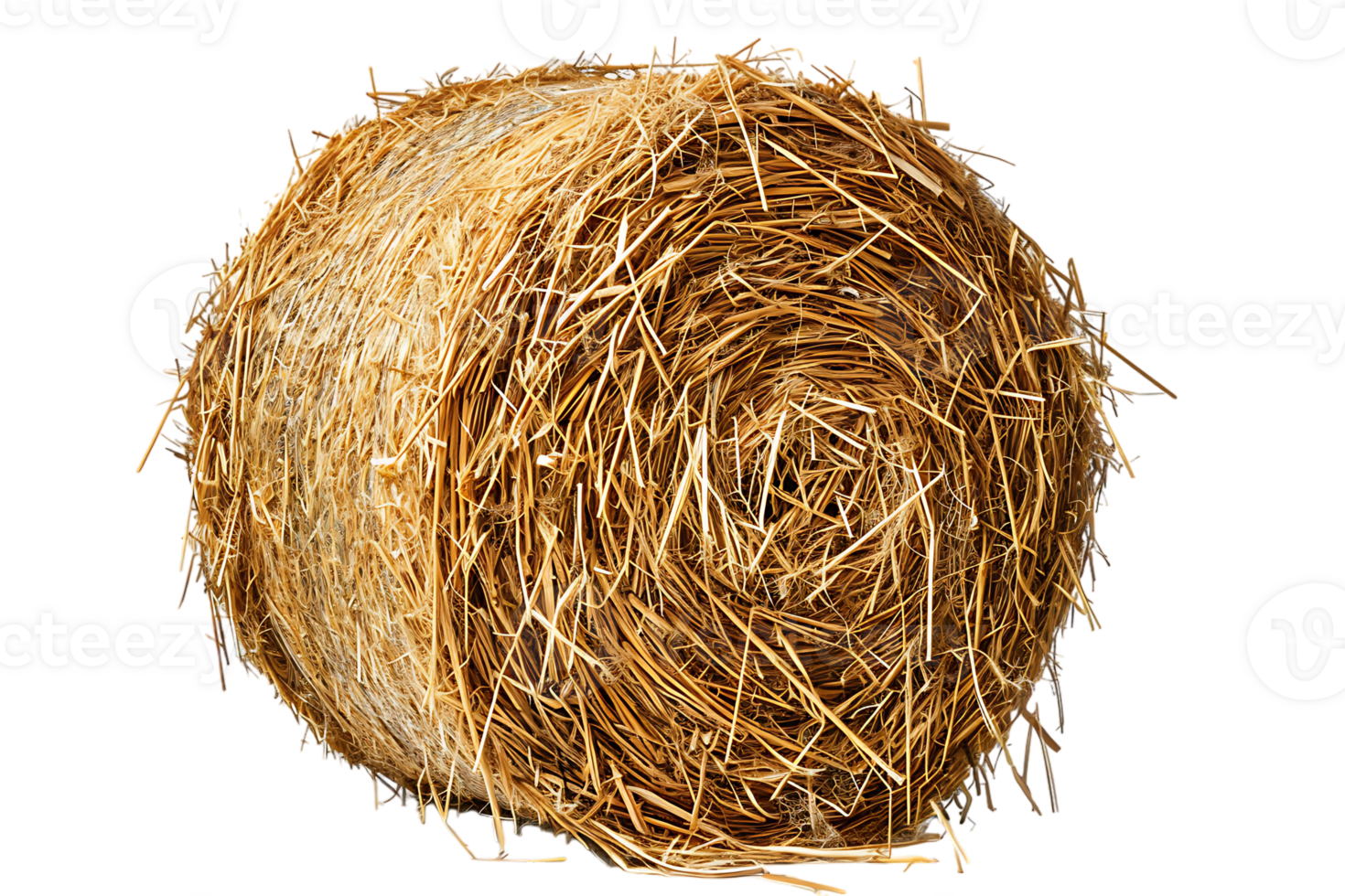 cylindrical or round hay bale isolated png
