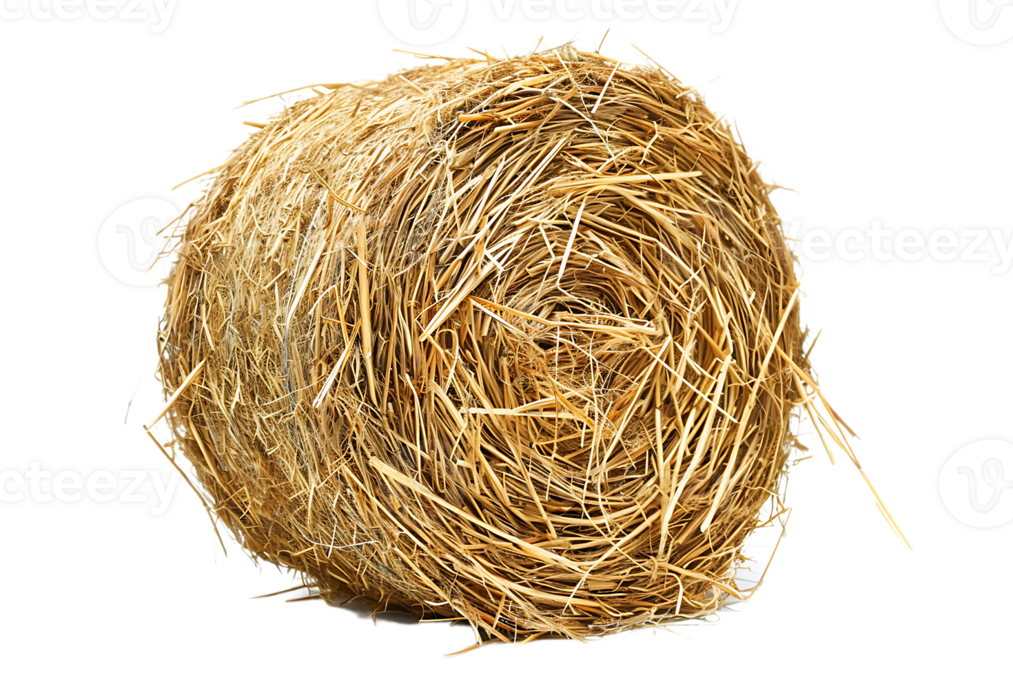 cylindrical or round hay bale isolated png