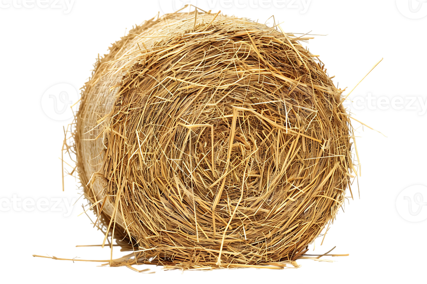 cylindrical or round hay bale isolated png