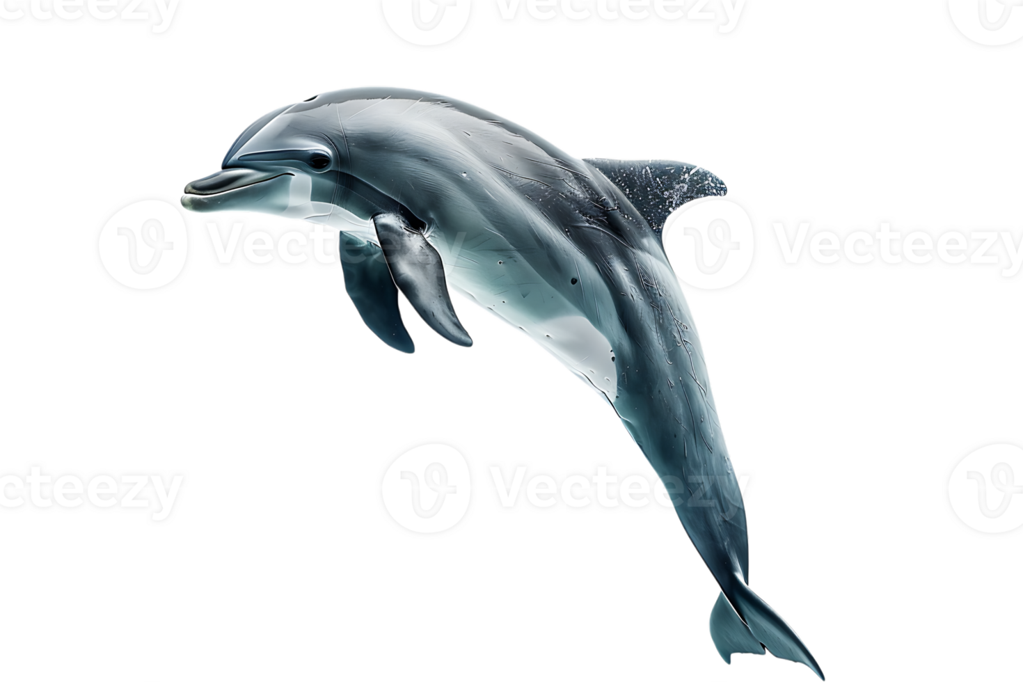 dolphin leaping out of the water, isolated against a transparent background png