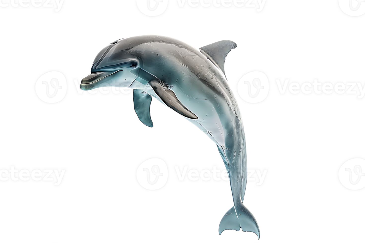 dolphin leaping out of the water, isolated against a transparent background png