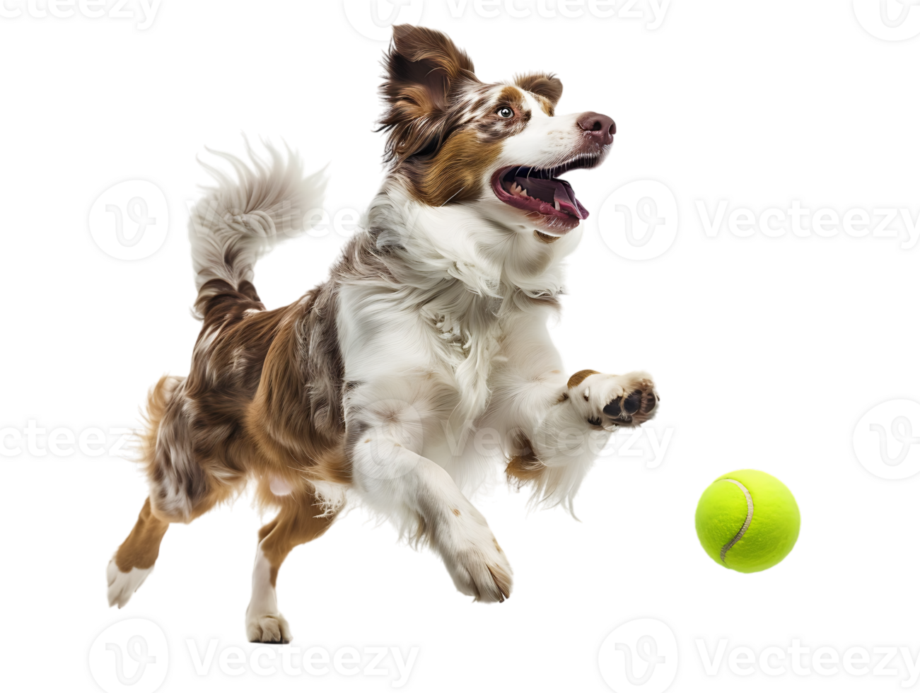 Dog playing with a tennis ball, isolated against a transparent background png