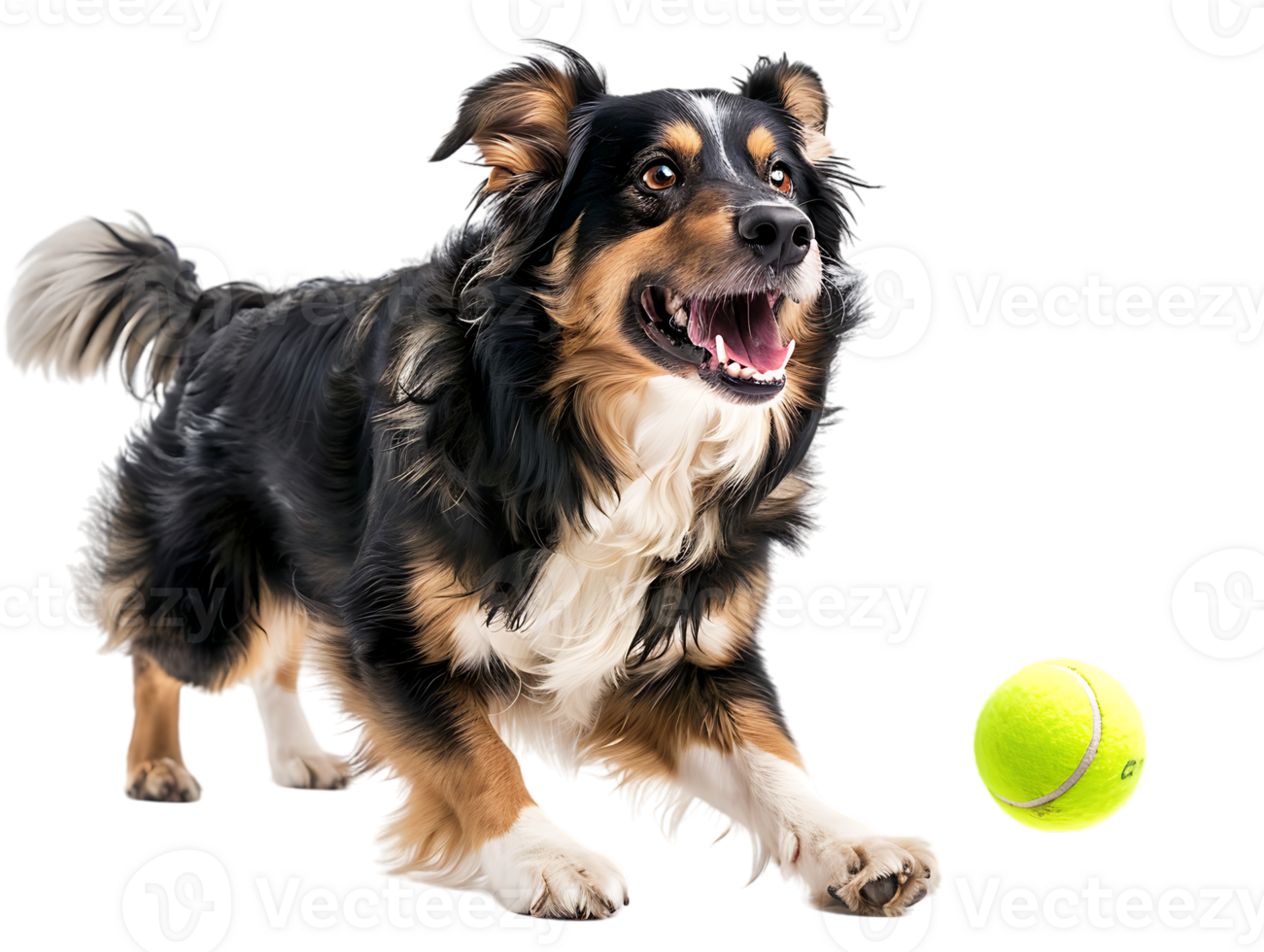 Dog playing with a tennis ball, isolated against a transparent background png