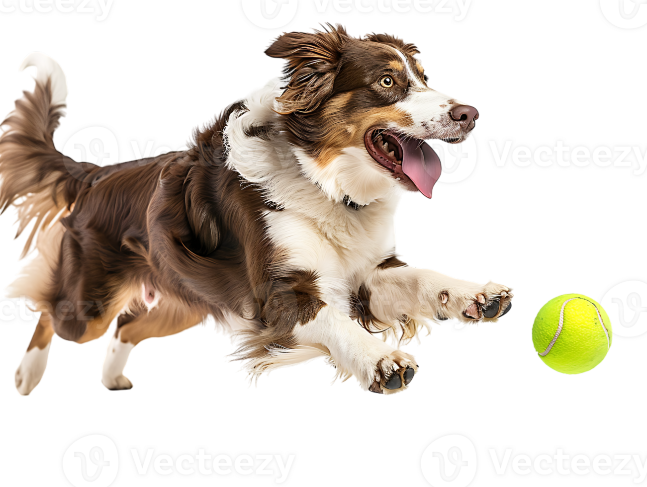 Dog playing with a tennis ball, isolated against a transparent background png