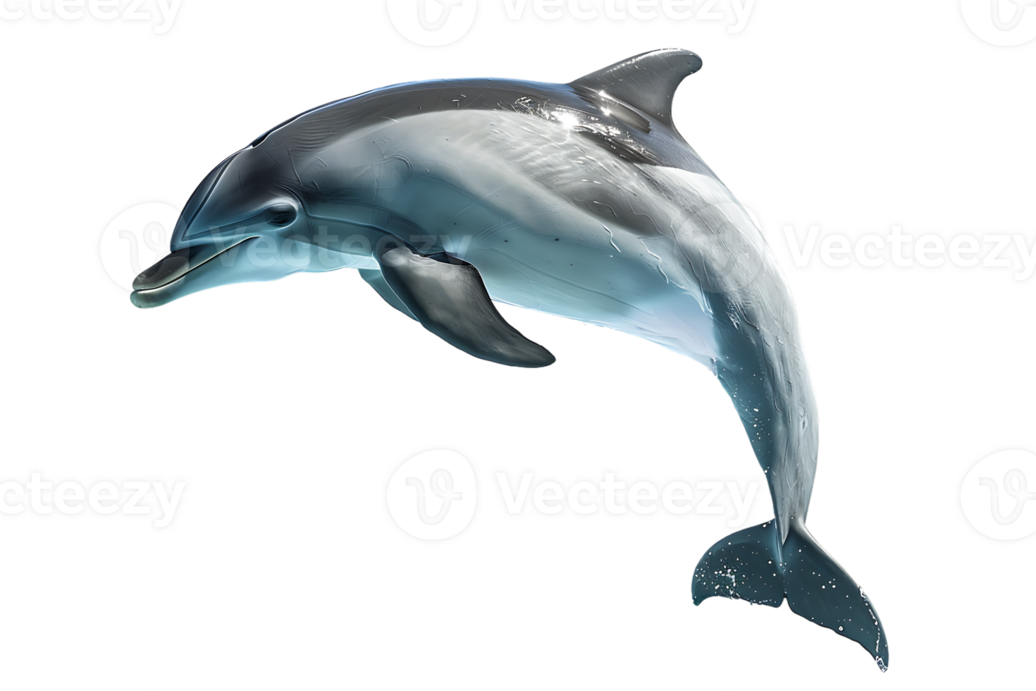 dolphin leaping out of the water, isolated against a transparent background png