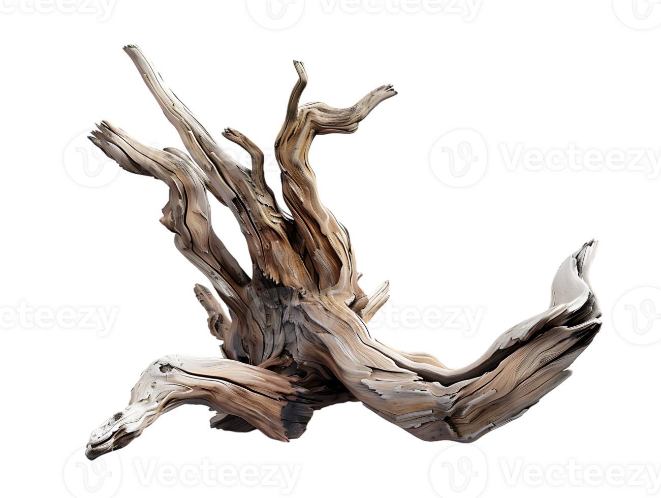 Driftwood against a transparent background png