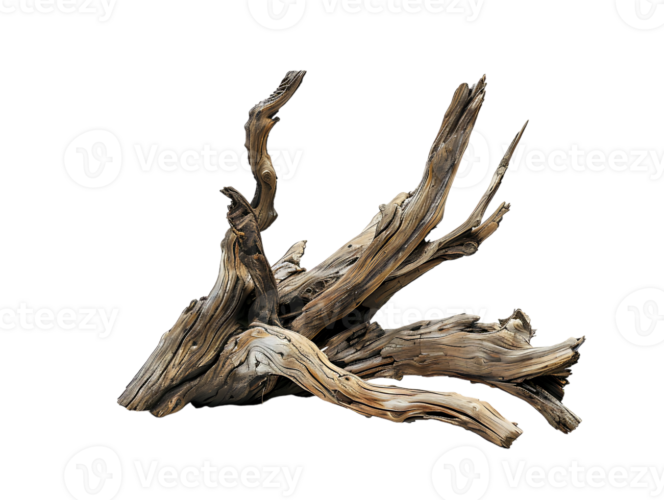 Driftwood against a transparent background png
