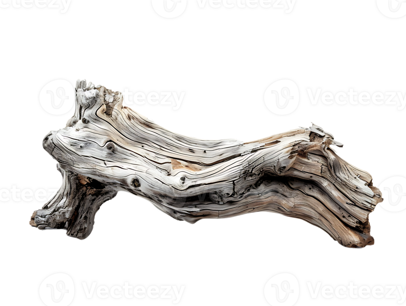 Driftwood against a transparent background png