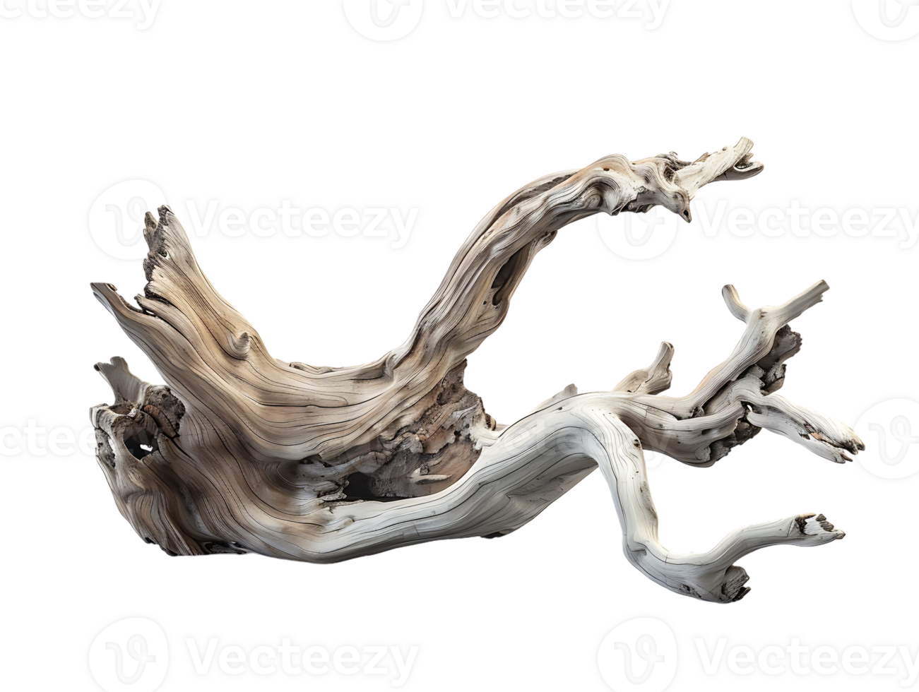 Driftwood against a transparent background png