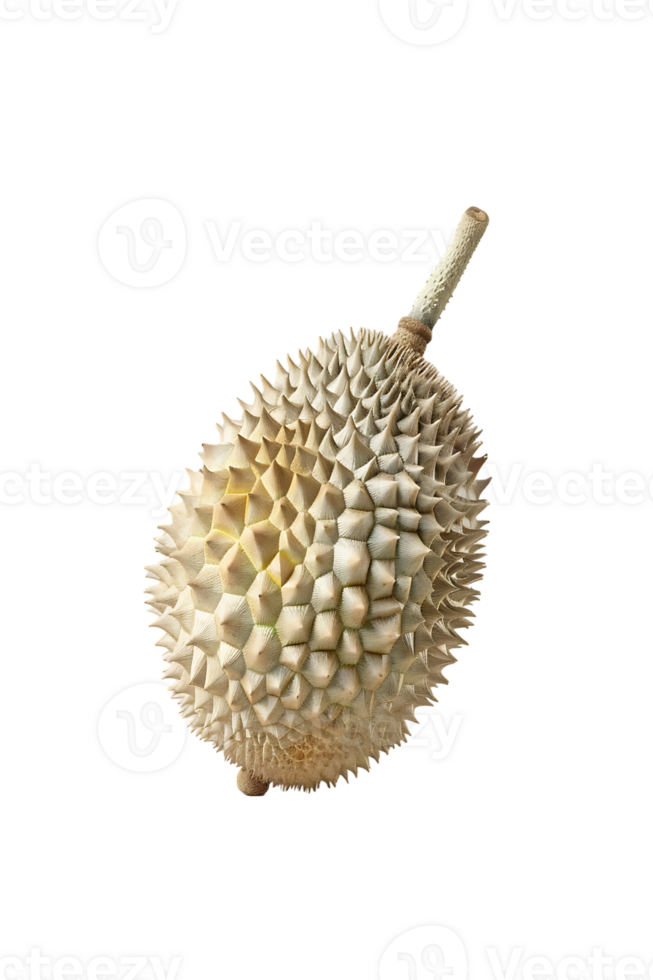 Durian fruit, isolated against a transparent background png