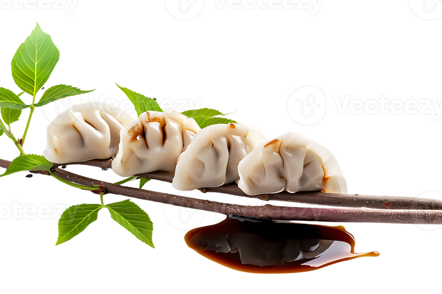 Dumplings with soya sauce on a branch, isolated against a transparent background png
