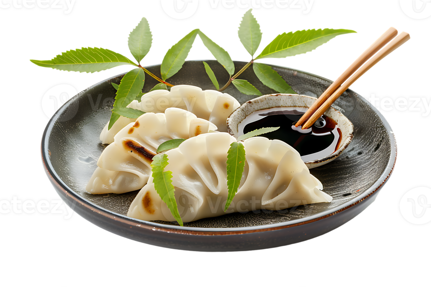 Dumplings with soya sauce on a branch, isolated against a transparent background png